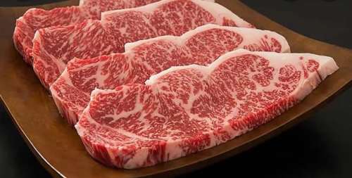 USDA choice beef Ribeye steak
