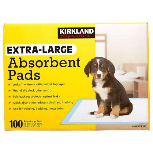 ABSORBENT PADS         