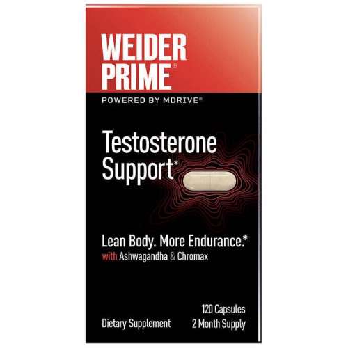 TESTOSTERONE SUPPORT   